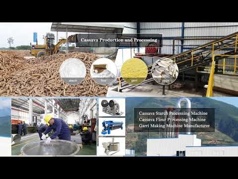 Live: See How Cassava Turns into High Quality Starch & Garri