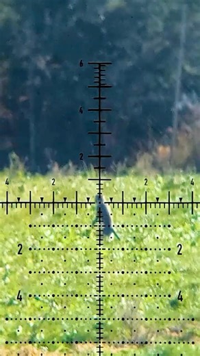 Nothing Beats a Suppressed .22-250!