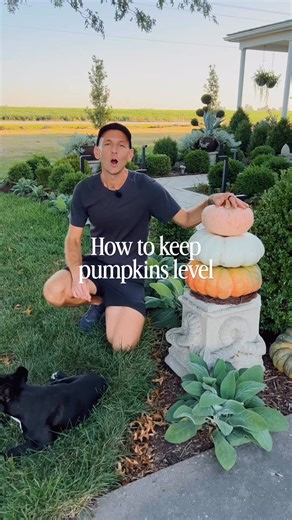 299K views · 8.4K reactions | Here’s my trick to make sure your pumpkin stacks stay upright and level! | Wyse Guide | Facebook