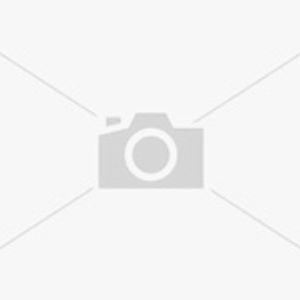 Nine Lashes - Alchetron, The Free Social Encyclopedia