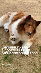 126K views · 71 reactions | Not everyone gets to live out their...