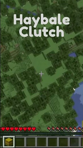 Minecraft Haybale Clutch!!