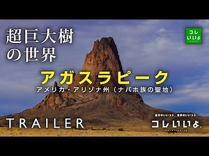 『超巨大樹の世界・予告』アガスラピーク（アメリカ・アリゾナ州 ※ナバホ族の聖地） コレいいよ.JP