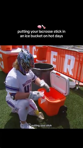 Lacrosse 101 🧠🌡️