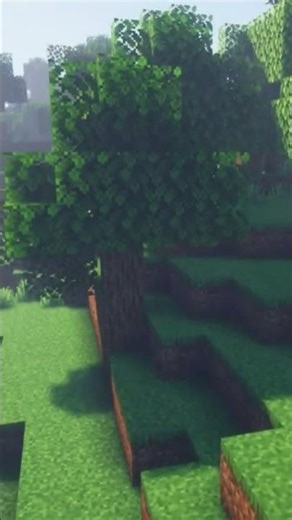 Ich habe den YouTuber Insel 2 SEED gefunden! 😱