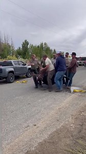 A trapped moose was saved after biologists and DWR conservation officers hoisted it from an irrigation canal in Uintah County. 🦌 MORE: https://bit.ly/3CoAAFS 📹: Utah Conservation Officers Association | KUTV 2News