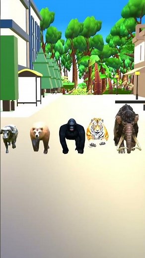 Funny Animals Running | Cartoon Animal Race | Giggle Zoo Shorts