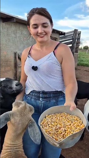 Beautiful Farm Girl Feeding Hungry Goats | Cute Goat Feeding Moment 🐐🌾 #villagelife