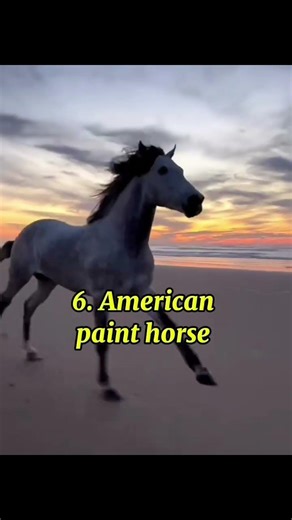 Top 10 Fastest Horse In The World | FastestHorse Breeds | #fasthorses #horseworld #fastesthorse