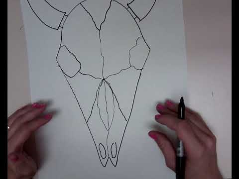 Long Horn Cow Skull Drawing