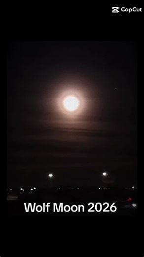 "You are never alone. We are all wolves howling to the same moon." #Ca...