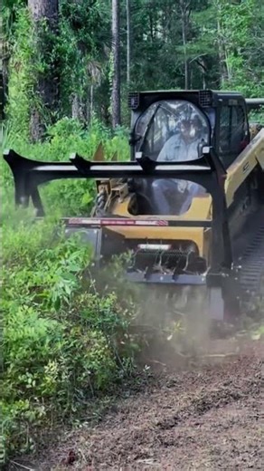 Mower Maintenance 101: Keep Your Machine Cutting Clean ✂️ #LawnCareTips