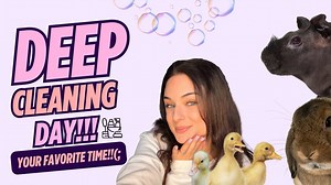 Why deep cleaning day with pets is always an adventure