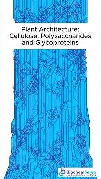 10.5 Hierarchical Architecture of Plant Structural Cellulose Polysaccharides