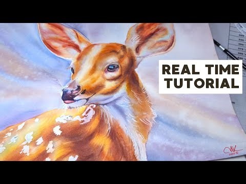 Watercolor Deer Real-Time | Beginner-Friendly Tutorial + Muddy Color Fixes
