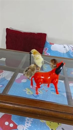 Small Chicks | Playing | With Small Horse | Adorable #adorablechicks #kitten #albiononline #cat