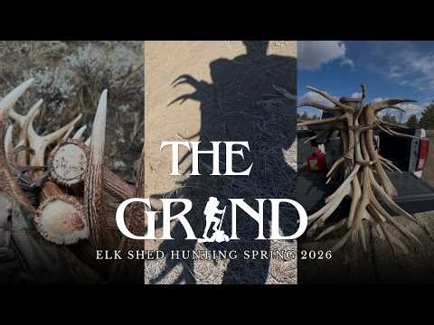 THE GRIND | ELK Shed Hunt!! 5 Browns!! | S10E9 | Limitless Outdoors | Presented by Eberlestock