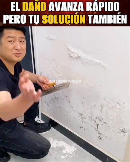 ✨ EL SECRETO QUE NO TE DICEN PARA EVITAR FILTRACIONES EN PAREDES ✨ Con este kit reparas grietas, sellas filtraciones y evitas que vuelvan a aparecer. Nuestro KIT SELLANTE ESPÁTULA MALLA 🤩 | Tienda Bullguard