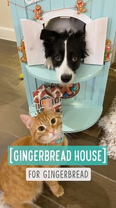 Gingerbread house for Gingerbread | Bordernerd