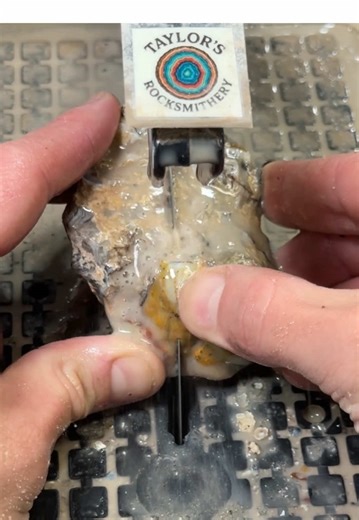 Cutting Tuxedo Lace Agate