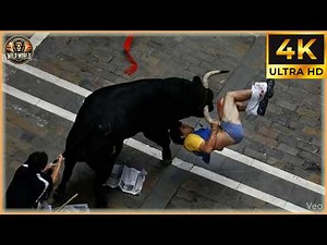 Craziest Animal Attacks Ever Caught On Camera | Amazing Animals #218