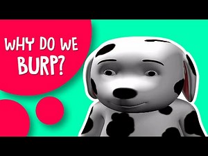 Why do i burp so much? - Amazing facts about human body