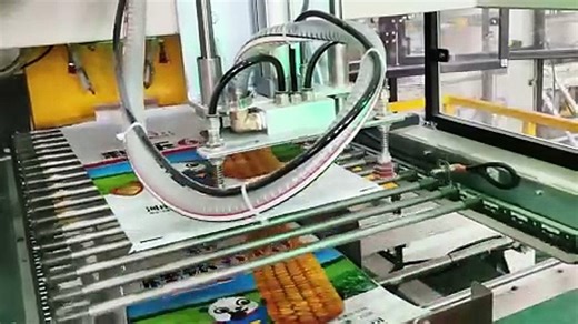 Secondary Packaging Bagger For Open Mouth PP Woven Bag-Automatic Pack 1kg & 2kg Primary Bags into PP