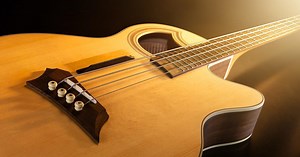 Why You Need an Acoustic Bass Guitar - InSync | Sweetwater