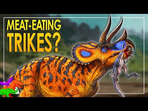 Were Horned Dinosaurs Carnivorous? – Cretaceous Corpse-Crunching Ceratopsians