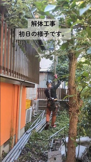 解体工事初日！仮設養生組み立て作業
