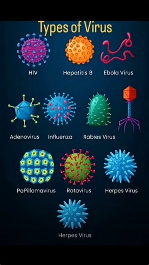 Types of Virus 🦠🦟. # short # video # virus # 🦟 🦠🦟🦠🦠