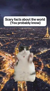 143K views · 2.5K reactions | Scary Facts about the World, Simplified By Cats #fyp #facts #history #cats #original #simplystatedhistory | Simply Stated History | Facebook
