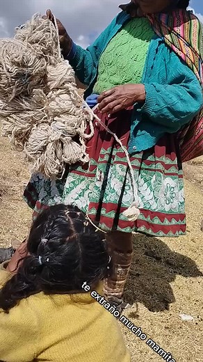 Sheep Shearing Process in Traditional Attire