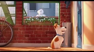 The Secret Life of Pets - Teaser Trailer | Movie Trailers and Videos