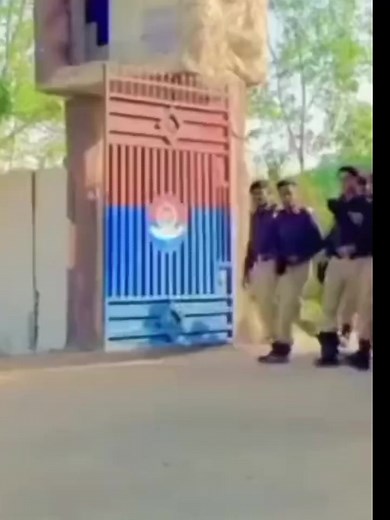Synchronized Dance Performance in Matching Uniforms