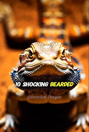 5 Facts About Bearded Dragons That Will Shock You!”