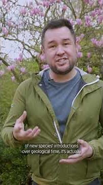 Why gardening with 'native' plants isn't always better for the environment 🌸🐝⁠