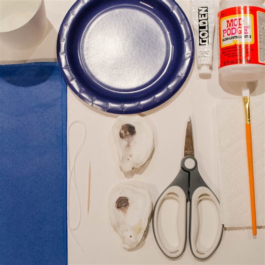 Oyster Shell Ornament DIY Art Kit | Kids Holiday Craft - Etsy