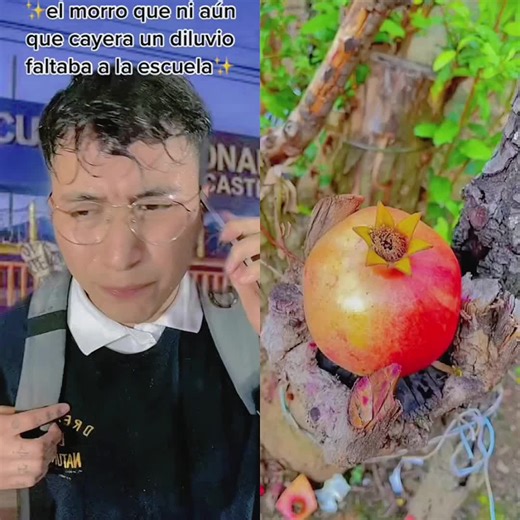 abccdd (@abccdd78)’s videos with original sound - abccdd