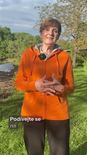 10 fatálních chyb při výsadbě rajčat - mohou ohrozit úrodu. Děláte je také? #rajce #zahrda #zahrada