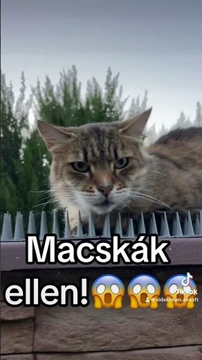 Macskák ellen!😱😱😱