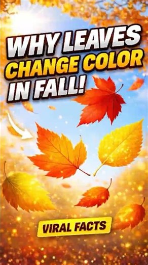 Why Leaves Change Color 🍁 (The Science Is CRAZY!)