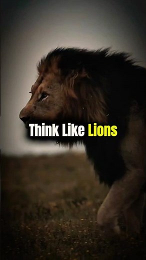 Lion Mentality 🦁 | Move in Silence, Rule with Strength