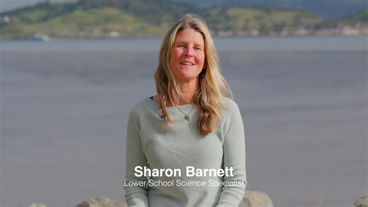 Bay Study Curriculum Highlight