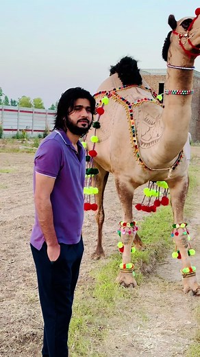 Zeeshan Rokhri: Eid Te Nahi Aya | Rabia Shah | Farm Animals