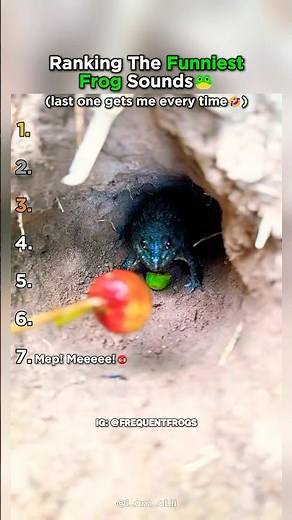 Top 7 Funniest Frog Noises Ranked!