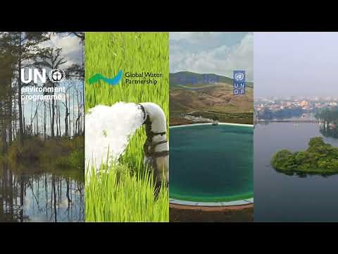 Implementing Integrated Water Resources Management: SDG Indicator 6.5.1.