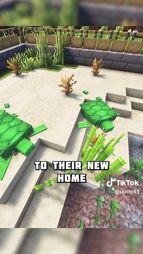 Build a Cute Turtle Enclosure in Minecraft