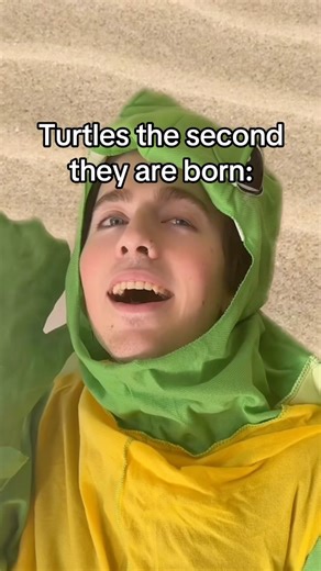TX2 on Instagram: "Bet you didn’t expect that ending… did you? SH0W this to someone who needs to see it… this is peak cinema. ——————————————————————————— #emo #emomusic #emophase #turtle #turtlesofinstagram #turtle #turtles"