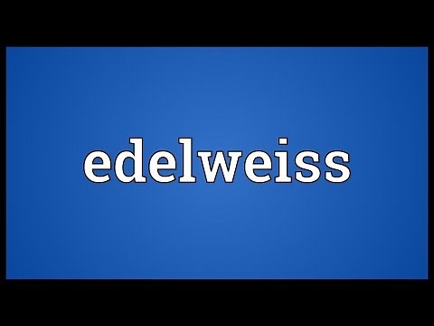 Edelweiss Meaning